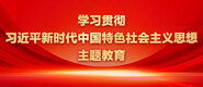 大粗鸡巴操小紧逼的视频学习贯彻习近平新时代中国特色社会主义思想主题教育_fororder_ad-371X160(2)